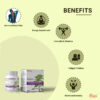 Ashwagandha Tablet (60 Pills) - Image 2