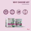 Brainio Powder (50 gm) - Image 5