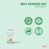 Tooth Powder (20 gm) - Image 5